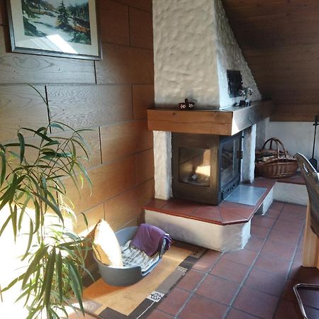 Aussergewoehnliche Atelierferienwohnung Mit Balkon An Der Donau Winzer Eksteriør billede