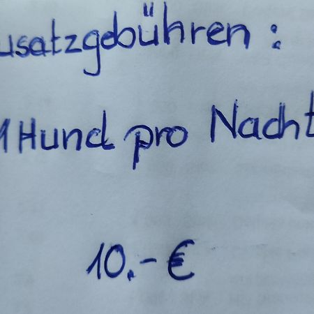 Aussergewoehnliche Atelierferienwohnung Mit Balkon An Der Donau Winzer Eksteriør billede