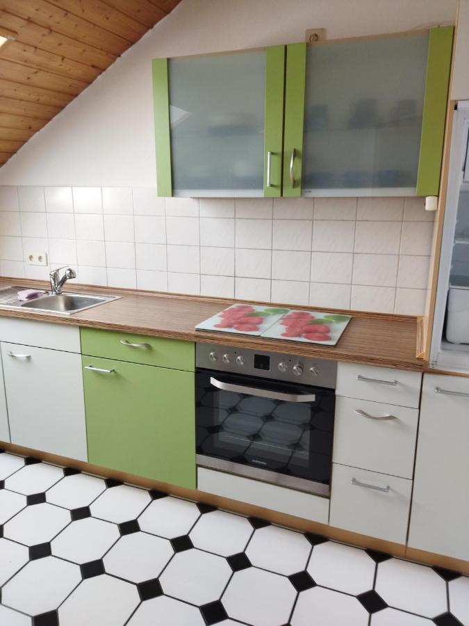 Aussergewoehnliche Atelierferienwohnung Mit Balkon An Der Donau Winzer Eksteriør billede