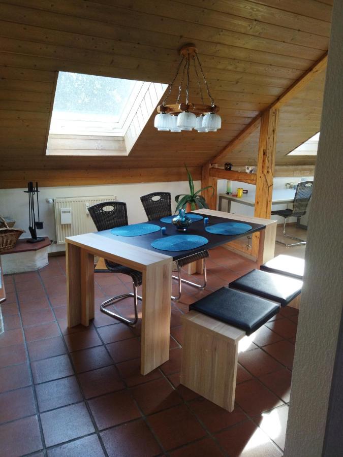 Aussergewoehnliche Atelierferienwohnung Mit Balkon An Der Donau Winzer Eksteriør billede