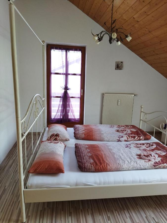 Aussergewoehnliche Atelierferienwohnung Mit Balkon An Der Donau Winzer Eksteriør billede
