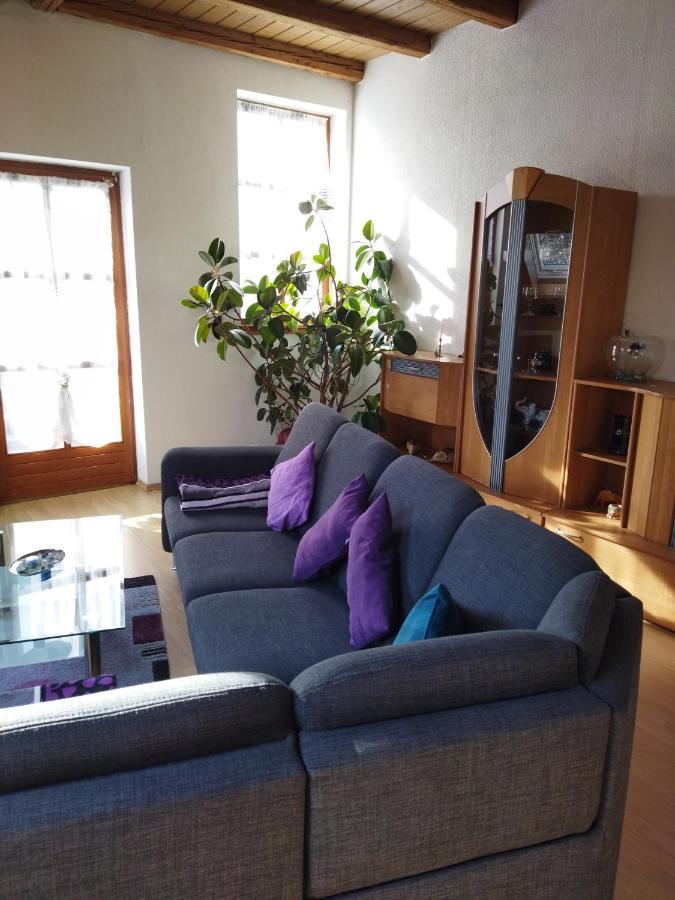 Aussergewoehnliche Atelierferienwohnung Mit Balkon An Der Donau Winzer Eksteriør billede