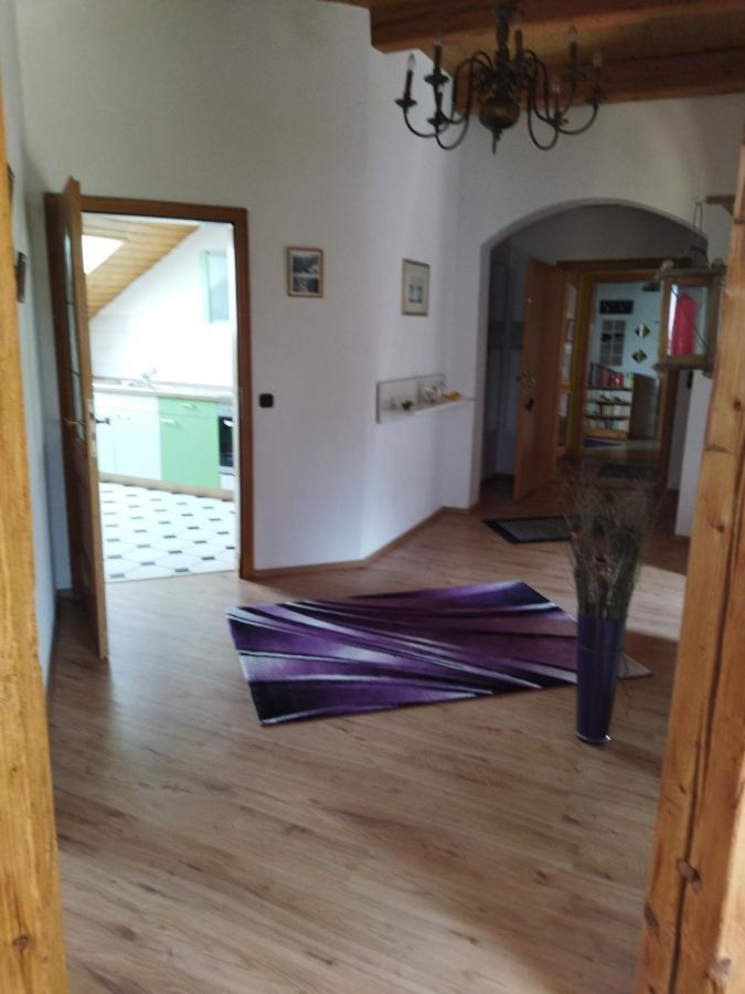 Aussergewoehnliche Atelierferienwohnung Mit Balkon An Der Donau Winzer Eksteriør billede