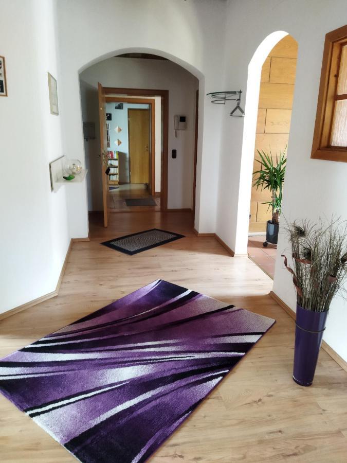Aussergewoehnliche Atelierferienwohnung Mit Balkon An Der Donau Winzer Eksteriør billede