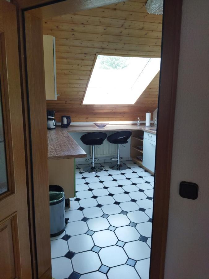 Aussergewoehnliche Atelierferienwohnung Mit Balkon An Der Donau Winzer Eksteriør billede
