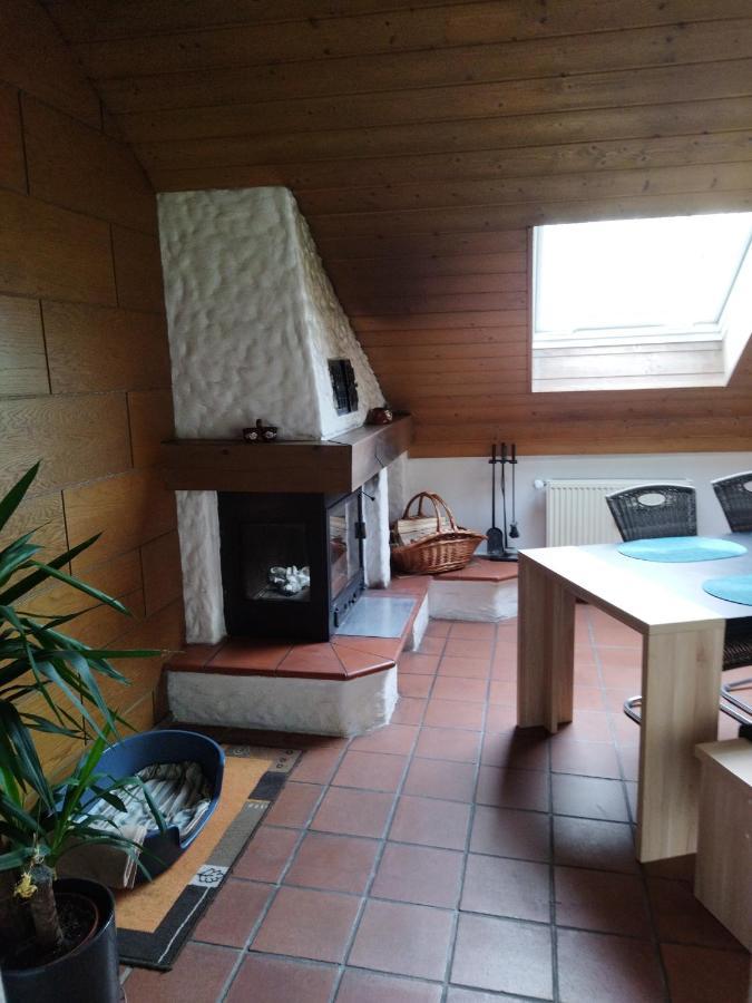 Aussergewoehnliche Atelierferienwohnung Mit Balkon An Der Donau Winzer Eksteriør billede