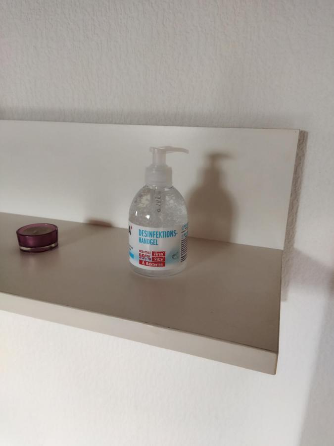 Aussergewoehnliche Atelierferienwohnung Mit Balkon An Der Donau Winzer Eksteriør billede