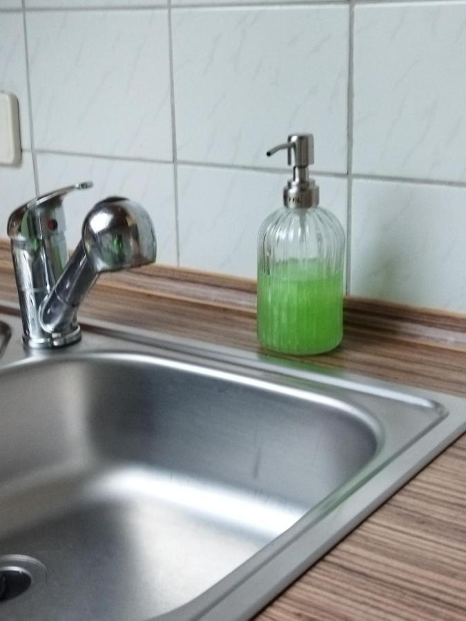 Aussergewoehnliche Atelierferienwohnung Mit Balkon An Der Donau Winzer Eksteriør billede