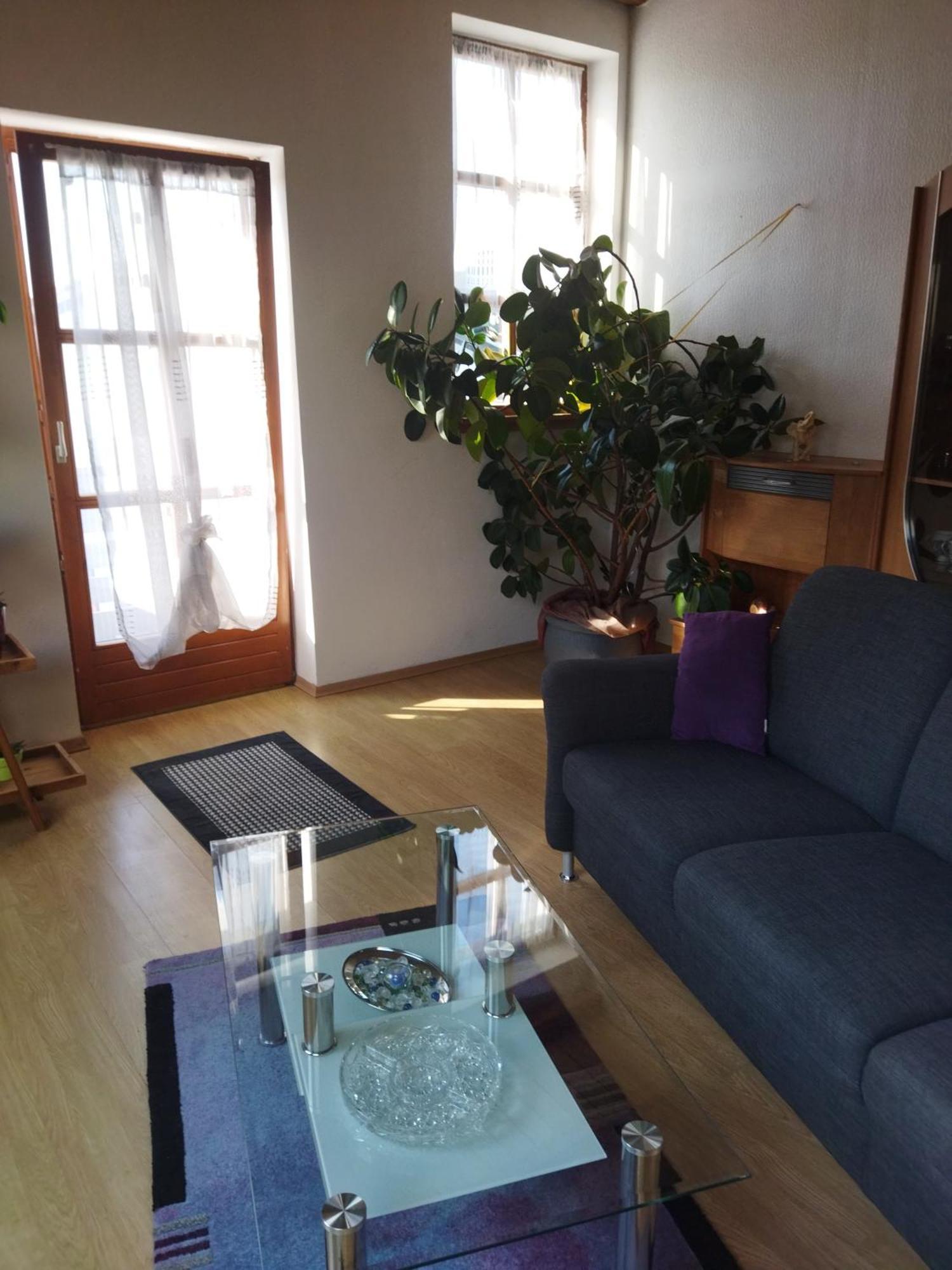 Aussergewoehnliche Atelierferienwohnung Mit Balkon An Der Donau Winzer Eksteriør billede